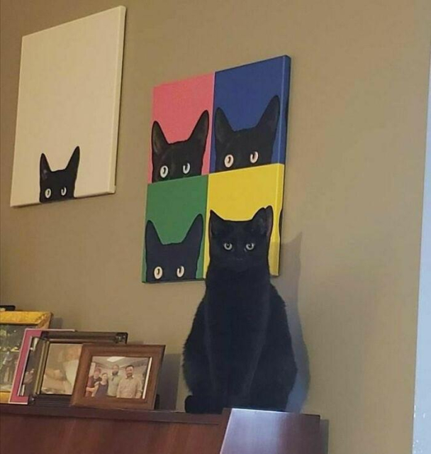 A black cat stands in front of a pop art painting of four cats heads in four quarters of the canvas. His head exactly replaces on of the heads