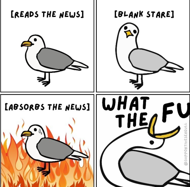 Four panel comic by supportiveseagull.
First panel: Seagull is looking to the left [Reads The News]
Second panel: Seagull is looking at the viewer [Blank Stare]
Third panel: Everything is on fire [Absorbs The News]
Last panel: Seagull is screaming, "WHAT THE FU–"