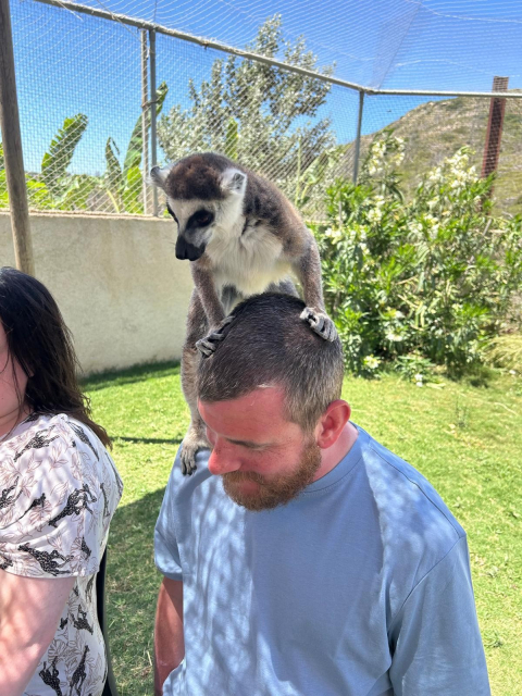 In this photo, I'm sat with a lemur balanced comfortably right on my head! It’s a ring-tailed lemur, with its distinctive black and white tail and expressive eyes. You can see its little hands gripping onto my hair as it balances there. The lemur seemed completely at ease, just hanging out with me against the backdrop of greenery and a clear blue sky.