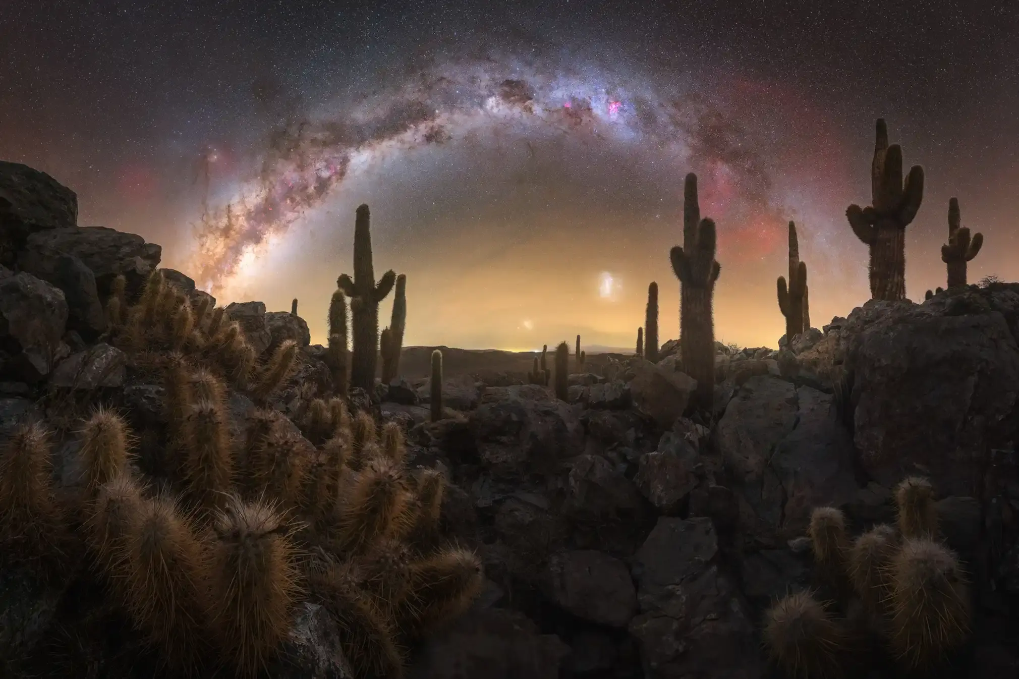 A panoramic shot of the Milky Way in a remote area of the Atacama cactus valley, known for its large concentration of cactus plants. The panorama was taken just as the galactic centre began to rise, with the spectacular Gum Nebula visible on the right. 
