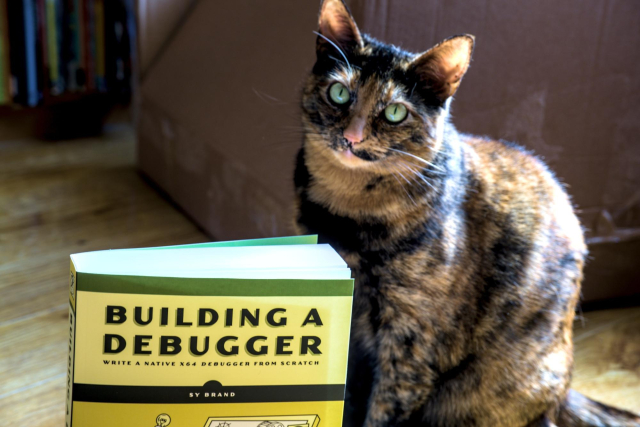 The book placed in front of a tortie cat 