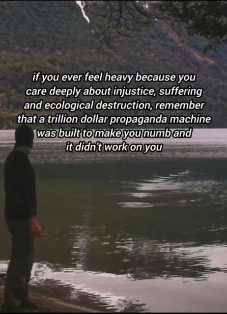Picture of a human figure looking away from the camera that is skimming stones.
Text over the picture says : "If you ever feel heavy because you care deeply about injustice, suffering and ecological destruction, remember that a trillion dollar propaganda machine was built to make you feel numb and it did not work on you"