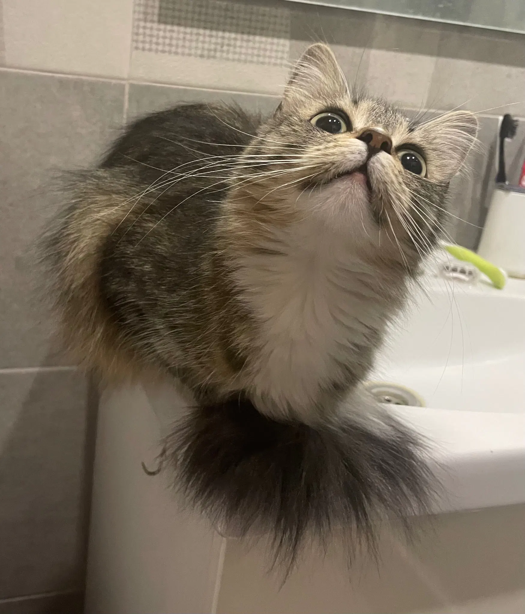 Same but from a different angle so lower relative to her face, she looks silly