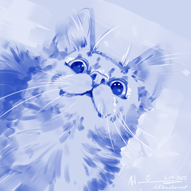 Very quick, painterly doodle in monochromatic blue of a fluffy cat looking up with HUGE eyes.
