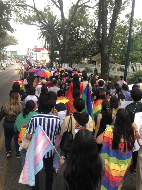 Un montón de gente en la marcha. Se ven muchs banderas arcoíris, trans, bi, gay, lesbianas...