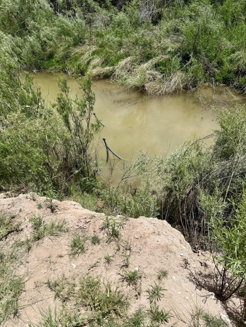 The image depicts a natural scene featuring a small, muddy river or stream surrounded by dense vegetation. The water appears brownish and murky, indicating a high sediment content. The riverbanks are lined with various green plants and shrubs, some of which are partially submerged in the water. The vegetation includes a mix of grasses and bushes, with some areas showing dry, brownish grasses, suggesting a semi-arid environment. In the foreground, there is a sandy bank with sparse grasses and small plants, leading down to the water's edge. A black hose or pipe is visible in the water, extending from the bank into the stream. The overall scene is a natural, undisturbed landscape, with no visible human-made structures or signs of urban development.

Provided by @altbot@fuzzies.wtf, generated privately and locally using Ovis2-8B

🌱 Energy used: 2.574 Wh