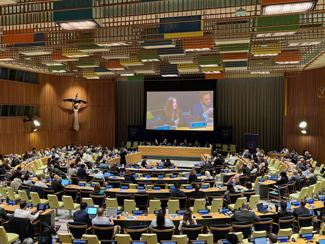 Zoomed out view of Trusteeship Council at the United Nations HQ, Adriana Groh speaking on the panel and is projected on the overhead scren.