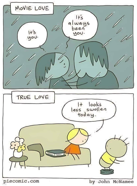Comic in two panels. First panel is captioned "Movie love", two persons are standing in the rain, holding each other and looking at each other longingly. One says "It's you." the other one replies: "It's always been you."

Second panel, captioned "True love": a person is sitting on a sofa and is looking at another person's butt, which they present while standing in front of them. The person looking says "It looks less swollen today."