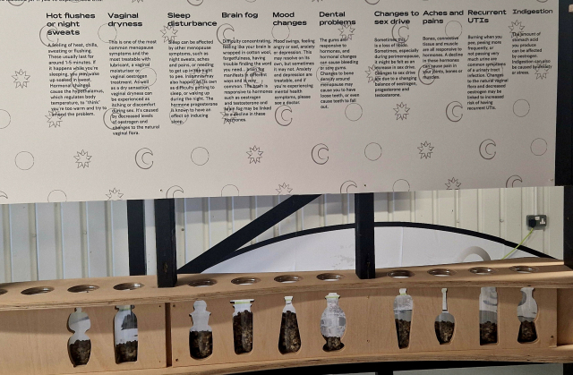 A museum display with showing symptoms of menopause and perimenopause. Beneath each symptom is a jar containing pebbles. 

Hot flushes or night sweats: about 25% full
Vaginal dryness: about 20% full
Sleep disturbance: about 35% full
Brain fog: About 80% full
Mood changes: about 75% full
Dental problems: About 15% full
Changes to sex drive: about 50% full
Aches and pains: About 40% full
Recurrent UTIs: About 30% full
Indigestion: About 30% full
