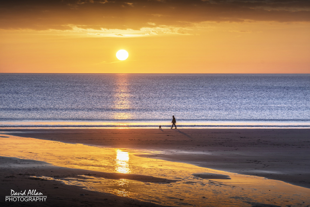 Sunrise on the coast of North East England being enjoyed by one man and his dog.