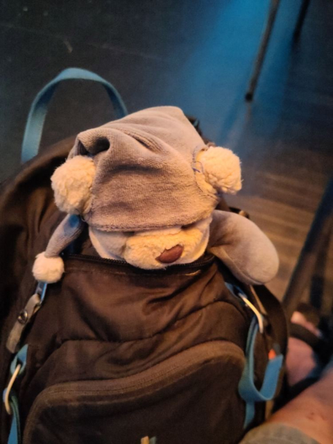 Ein Teddybär mit Schlafmütze guckt aus einem Rucksack heraus.