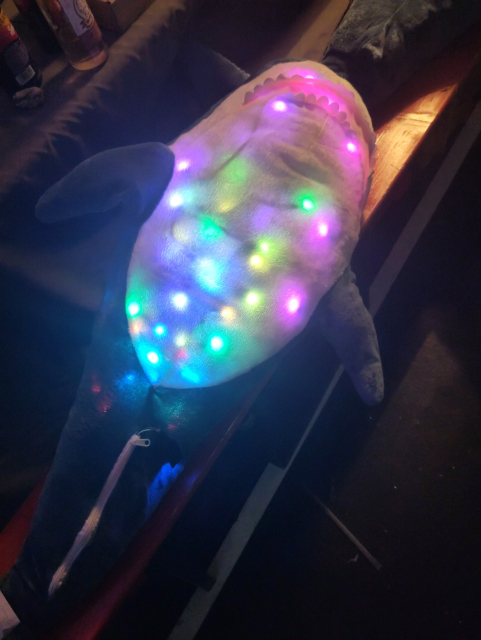A blåhaj lying in it's back. It's glowing with many colorful lights from the inside.