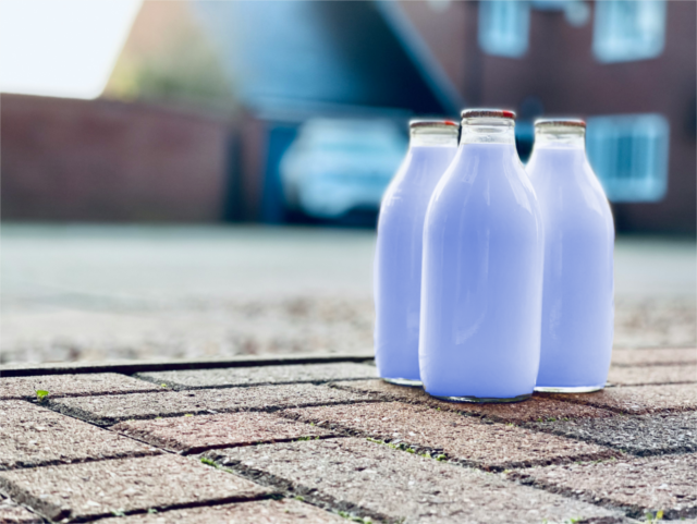 A trio of blue milk bottles sits on a driveway