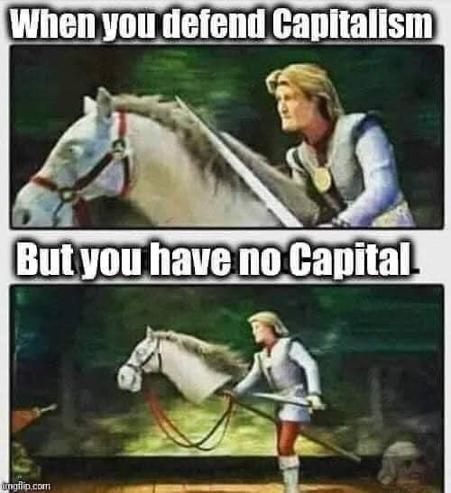 Top: Prince riding a horse into battle. "When you defend capitalism" 

Bottom: Zoom out, the horse is actually a stick horse. "But you have no capital"