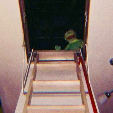 Kermit the frog stands in darkness at the top of a flight of steps, looking down.