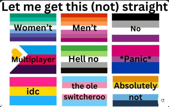 heading: Let me get this (not) straight.

A grid of 9 flags, each with a short bit of text over them:

top row:
1. gay men's pride flag labeled with "Women't"
2. lesbian pride flag labeled with "Men't"
3. Asexual pride flag labeled with "No"

middle row:
1. Polyamory / non-monagamy pride flag labeled with "Multiplayer" 
2. Aromantic pride flag labeled with "Hell no"
3. bisexual pride flag labeled with "*panic*"

bottom row:
1. pansexual pride flag labeled with "IDC"
2. transgender pride flag labeled with "the ole switchroo"
3. aro-ace pride flag labeled with "absolutely not"