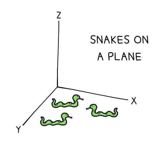 The cartoon is a humorous visual pun based on the title of the 2006 action thriller film Snakes on a Plane. 

The film Snakes on a Plane is an action thriller where a crate of venomous snakes is released on a passenger plane to kill a witness. 

The image humorously reinterprets the title by showing snakes on a 2D Cartesian plane, defined by the X and Y axes, with a Z-axis indicating a 3D space. 
