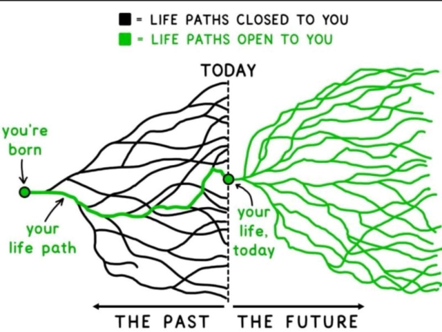 A 2 part graph

On the left is a branched tree where the branches represent "life paths" where only one path is highlighted in green (the path you took) from root to tip (this is the past)

The right of the graph represents your future and you are at the base of a new branched tree where every pathway is green, representing the choices you have going forward. 