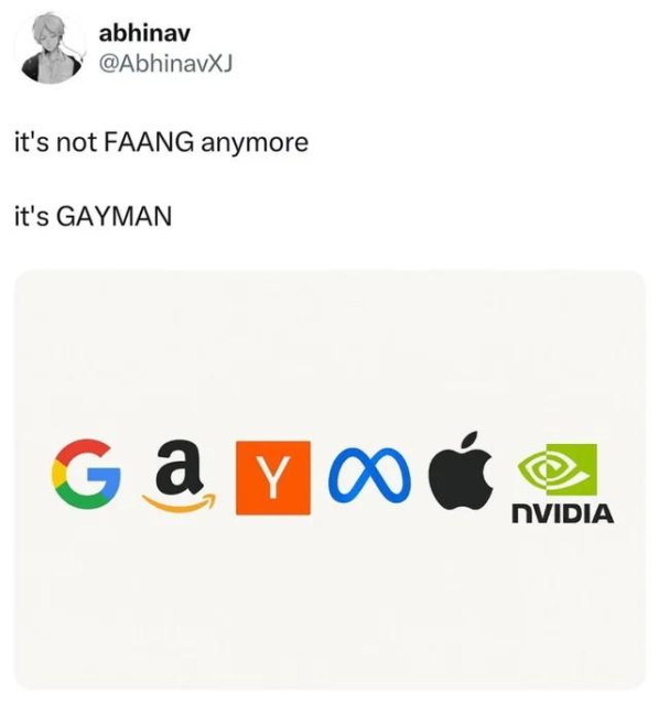 A social media post by abhinav (@AbhinavXJ) saying:

it's not FAANG anymore

it's GAYMAN

Underneath are the logos of: Google, Amazon, YCombinator, Meta, Apple, and NVidia.