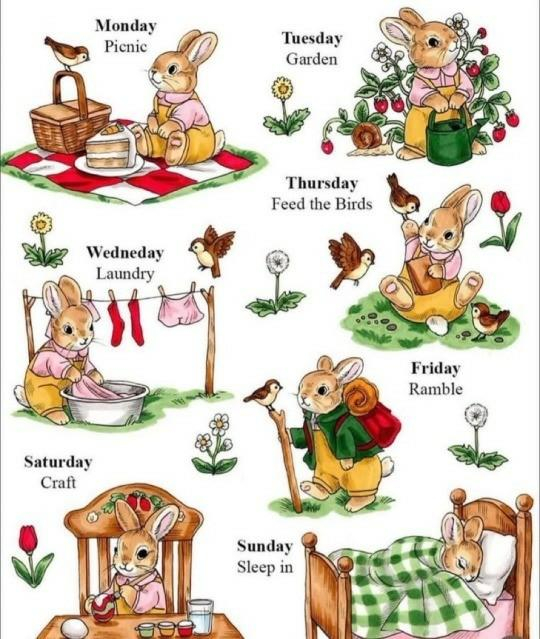 The image depicts a bunny's weekly schedule, with a different activity for each day:

Monday: Picnic

Tuesday: Garden

Wednesday: Laundry

Thursday: Feed the Birds

Friday: Ramble

Saturday: Craft

Sunday: Sleep in