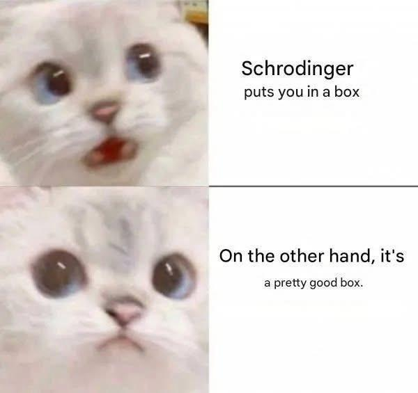 A two panel meme.

Top panel shows a distressed cat's face, and the text reads "Schrödinger puts you in a box".

Bottom panel shows the cat looking contemplative, and reads "on the other hand, it's a pretty good box".