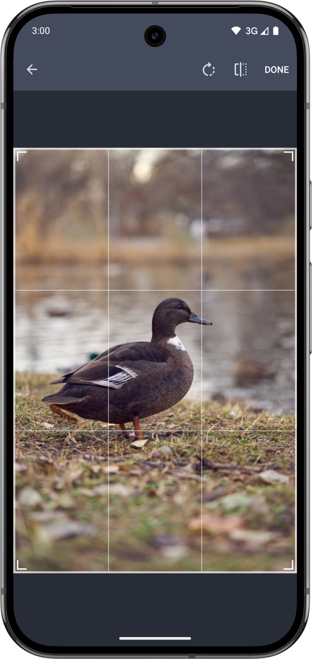 New image editor, showing the same duck photo. Everything now has coherent Tusky design.