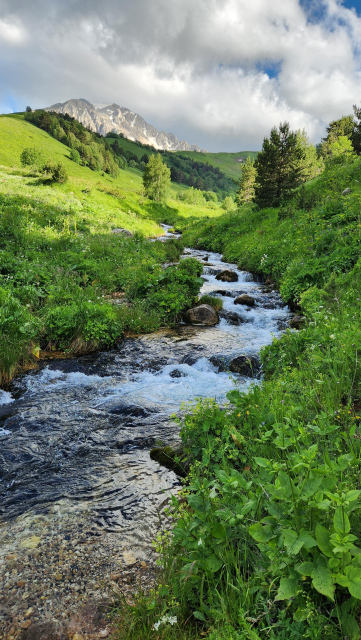 The beginning of the river Tsitsa that is right below Mt Pshekho-Su 