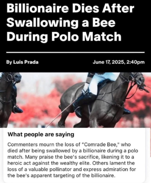 a news headline: billionaire dies after swallowing a bee during polo match. a summary of public outcry: people are mourning the bee and commending their great sacrifice 