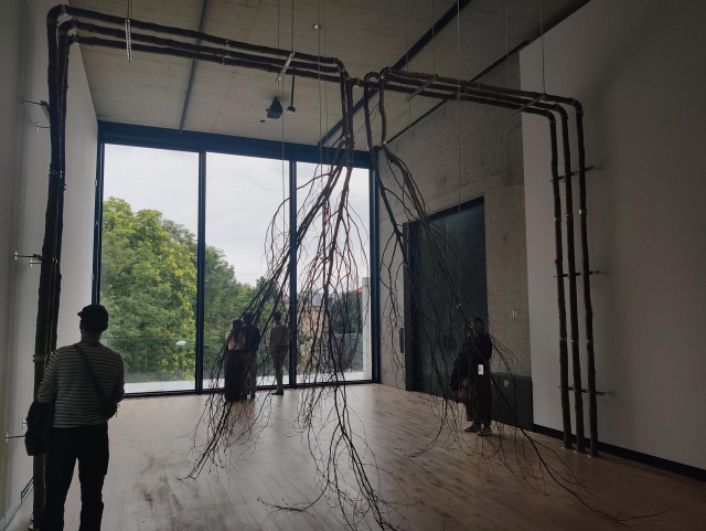Art installation called In-tree-net in Kunsthalle.
It consists of tree trunks fixed into walls and ceiling like pipes would be. The "tree-duct" ends with branches hanging down from the ceiling which is reminding of spraying water.