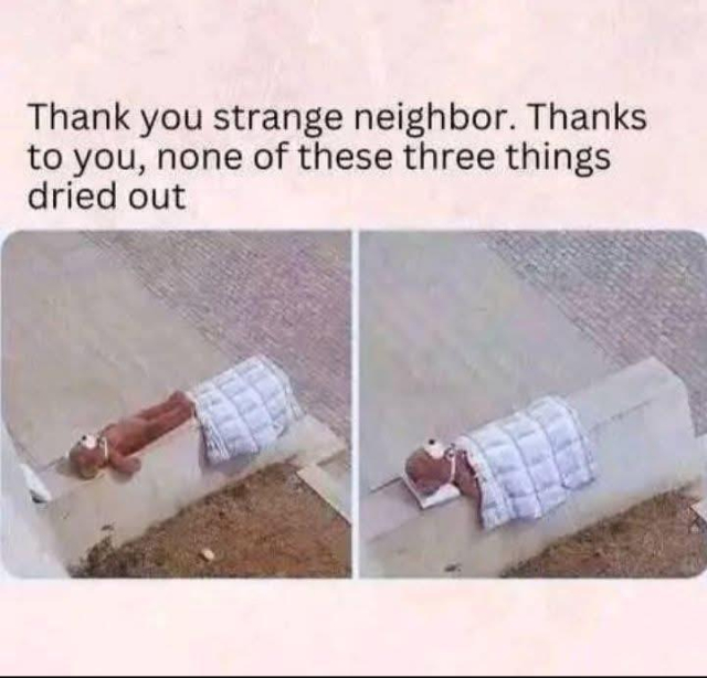 Two pictures; the first is a pillow, bear, and small blanket lid out next to each other. In the second, someone has tucked the bear in. Caption reads “Thank you strange neighbor. Thanks to you, none of these three things dried out.”