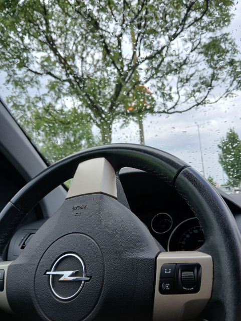 Opel astra H combi. 2008, pohled od spolujezdce směrem k volantu. Je vidět znak auta a stromy.