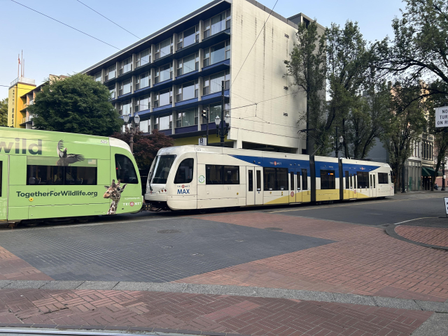 Two MAX light rail vehicles coupled together. One is white with blue and yellow accents. The other is green and has pictures of a bird and a giraffe.