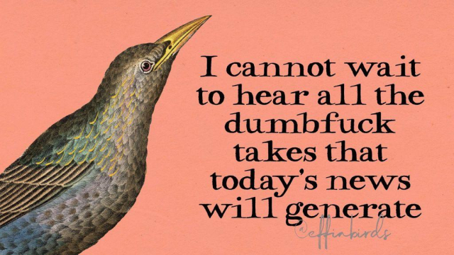 A painting of a bird next to the words "I cannot wait to hear all the dumbfuck takes that today's news will generate"