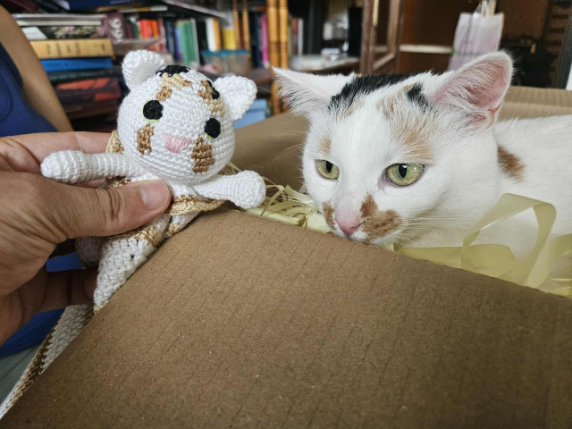 My face and the toy head side by side. Toys have a shape of cats with spots exactly matching mine.