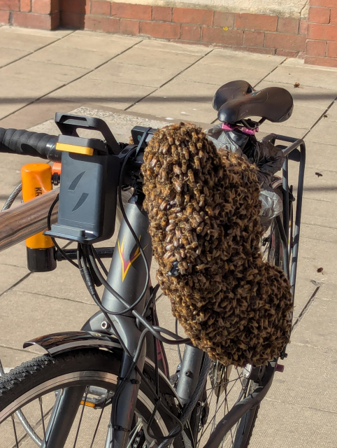 A bicycle attached to a Sheffield stand with a U-lock. It is guarded by an entire swarm of cute honey bees, hanging from its handlebars.