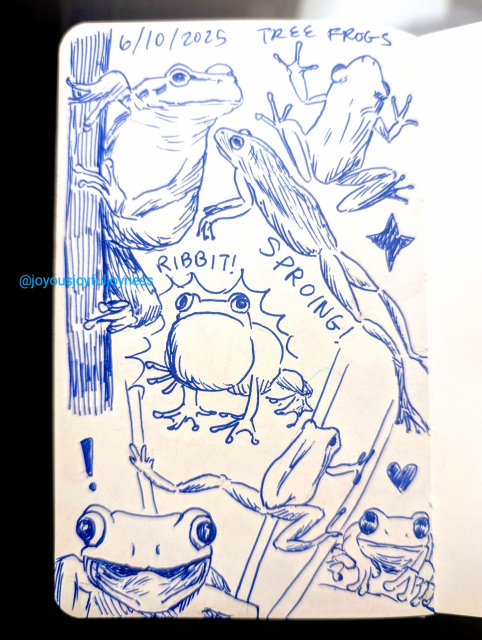 Sketchbook page of 7 tree frog drawings in blue pen. At the top is the txt 6/10/2025 and Tree Frogs. The top left is a frog holding onto a branch and looking to the right. To the right is a frog from above. Below is a jumping frog with the word Sproing! written below it. There is also a star. Below that is a frog ribbiting (labeled). Below that is a frog climbing reeds with its legs splayed out. At the bottom left is a frog with a surprised look and its mouth open. To the bottom right is a frog looking at the viewer with a heart above it.
