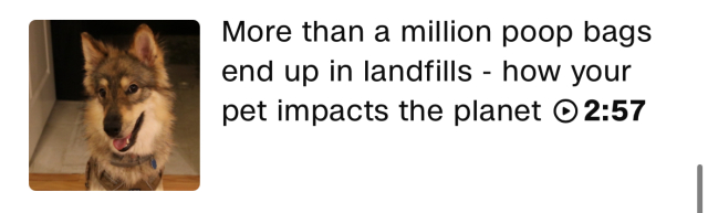 More than a million poop bags end up in landfills - how your pet impacts the planet