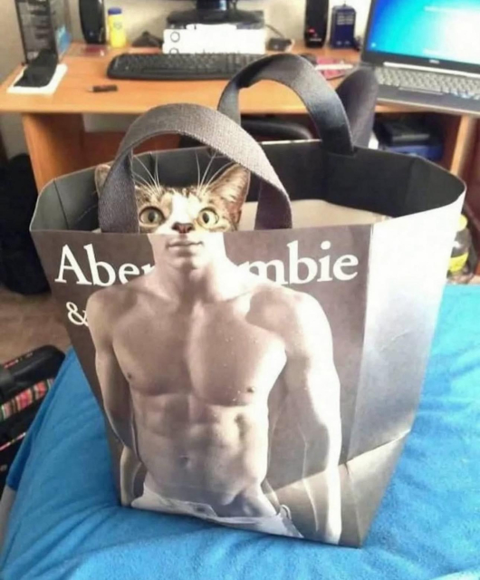 Kitty head coming out of Ambercrombie and Fitch bag.