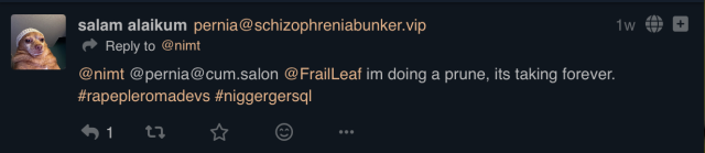 unsavory post about Pleroma devs