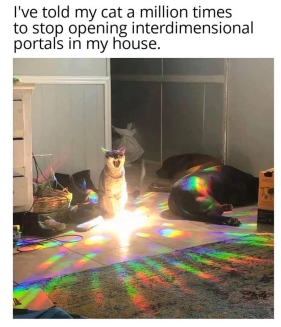I've told my cat a million times to stop opening interdimensional portals in my house.

Cat: meeeeeeooooe: opens portal 