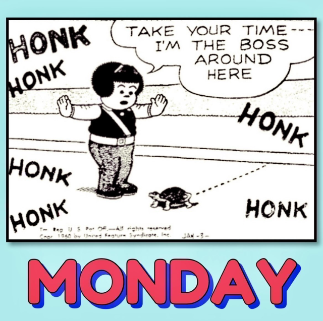 NANCY IS THE SCHOOL CROSSING GUARD, SHE STOPS THE TRAFFIC TO ALLOW A TURTLE TO CROSS THE ROAD HONK HONK HONK HONK HONK HONK 