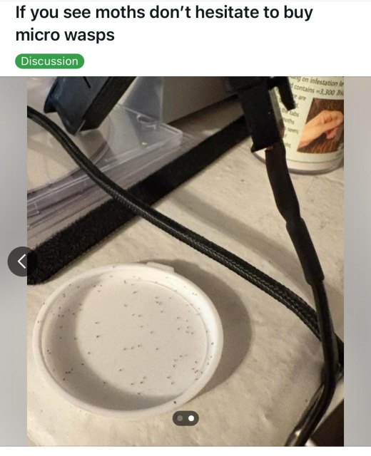 Reddit post: if you see moths don’t hesitate to buy micro wasps