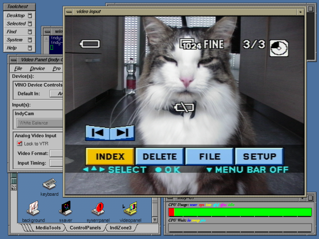 IRIX desktop on SGI Indy. Video panel shows live video feed from Sony Mavica, displaying a picture of a cat