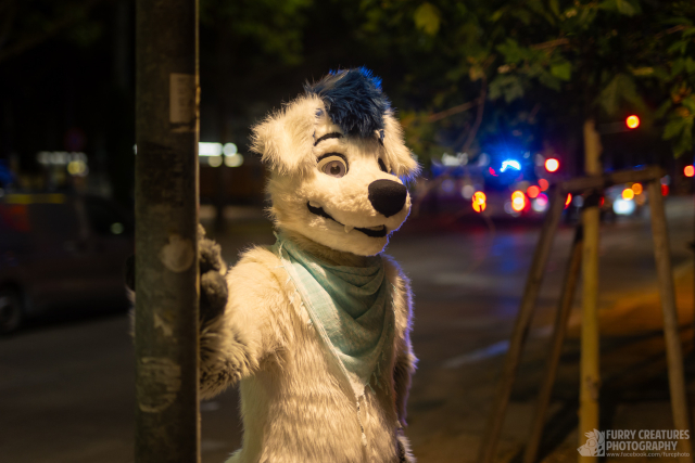 Fursuiter in the evening city lights.