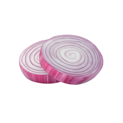 Two slices of red onion stacked one atop the other. The onion symbolizes TOR, The Onion Network, and its multiple layers of cryptographic obfuscation.