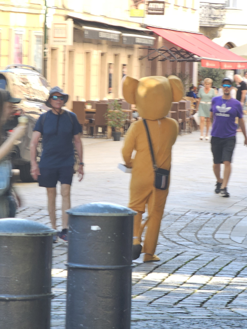 nejaká osoba prezlečená za maskota z rozprávky 