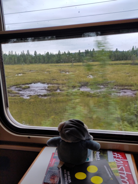 Ein Teddy schaut aus dem Fenster im Zug.