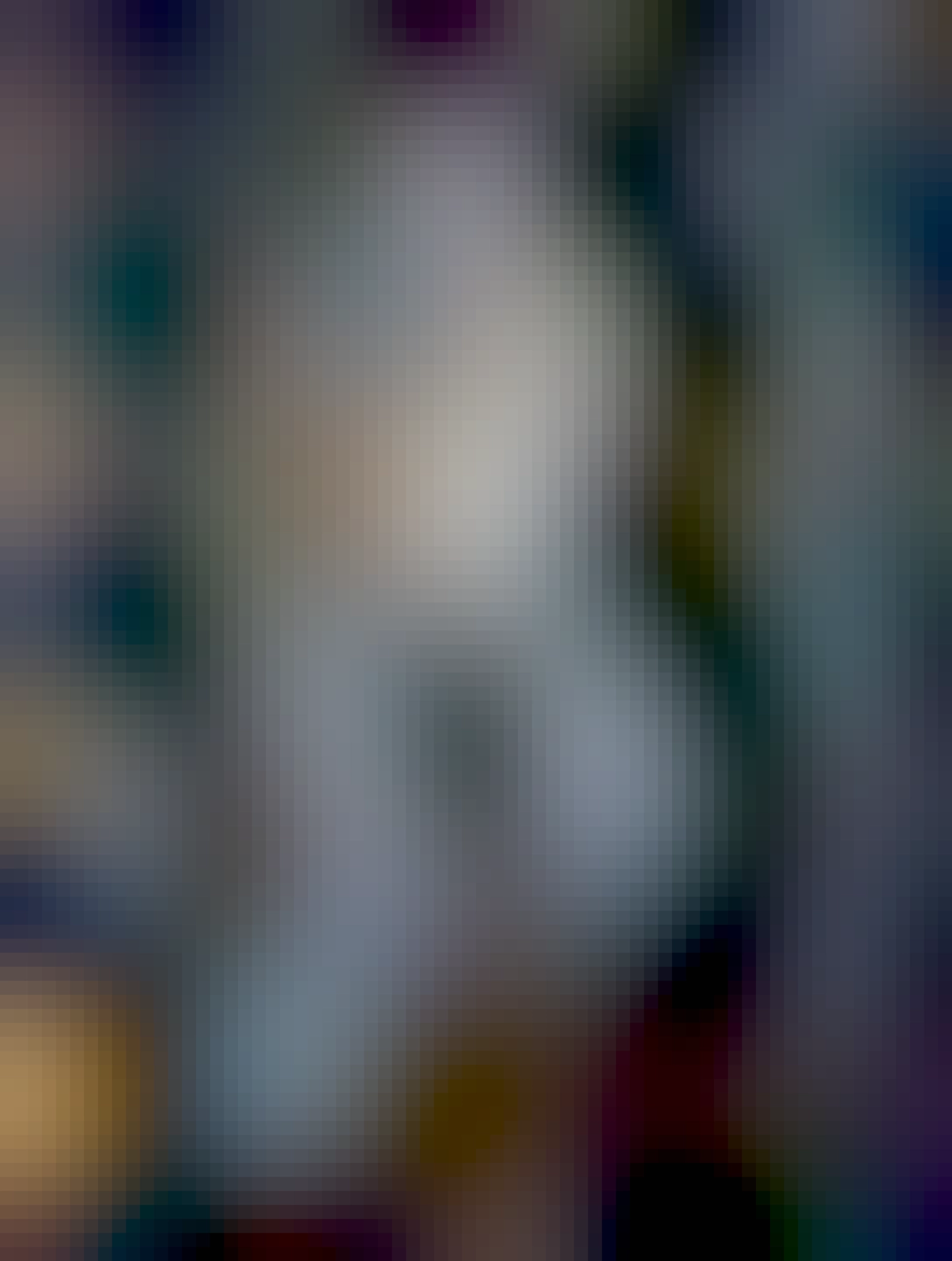 Frida Bär sitzt in einem Zug der SJ.