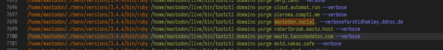 Screenshot showing a malformed script line where there is a mastodon.social that should have been another longer domain.