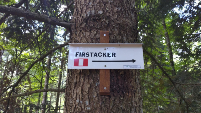 sur un arbre, un panneau qui indique un symbole en forme de rectangle rouge avec un rectangle blanc au milieu, et le nom "Firstacker"